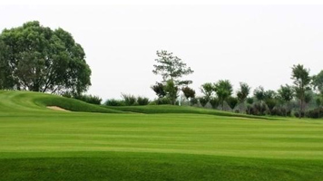 人造草坪價(jià)格影響因素之人造草坪底布